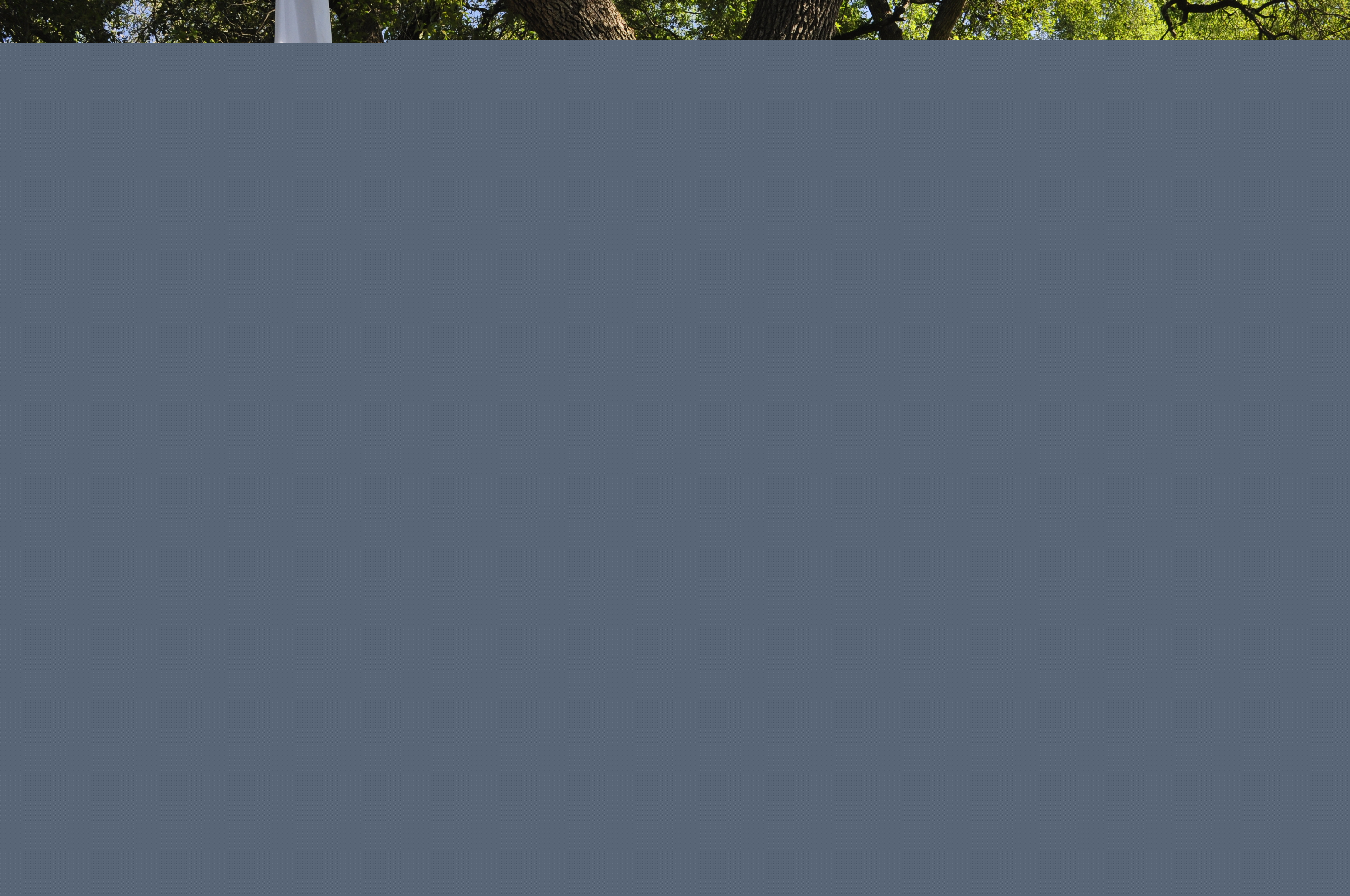Click to return to the thumbnail index